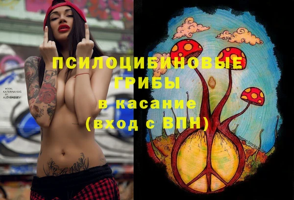 стаф Михайлов