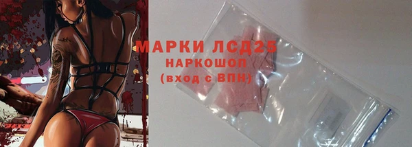 стаф Михайлов