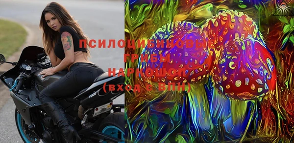 стаф Михайлов